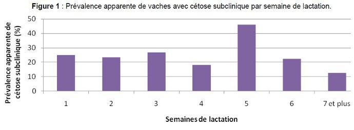 Cétose vaches laitières