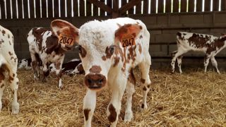 N'hésitez pas à nous faire part des prénoms que vous avez choisis en commentaire !