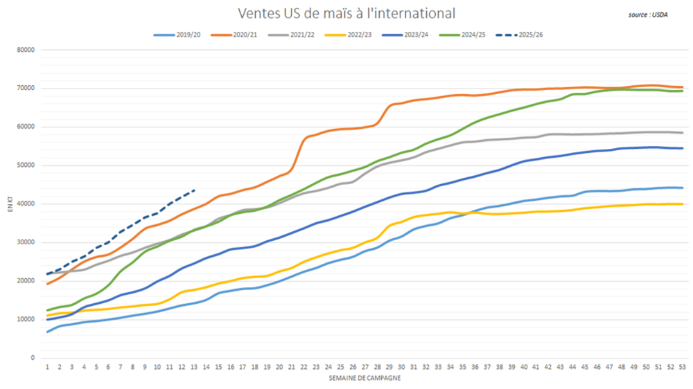 Les USA enregistrent des ventes de maïs exceptionnellement élevées.
