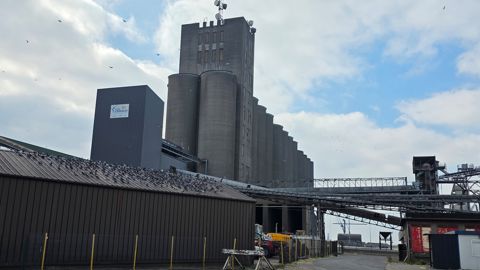 La campagne d’export 2025-2026 a bien démarré pour Nord Céréales, avec une qualité « exceptionnelle » des céréales des Hauts-de-France et du Grand Est.