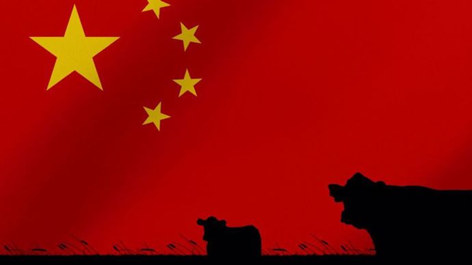 Taxe chinoise sur les produits laitiers UE : un « coup de massue »