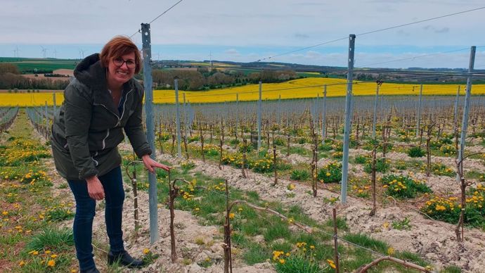 Laurianne Carbonnaux dans sa parcelle de chardonay à Fresnicourt-le-Dolmen