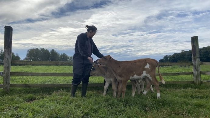Pour 24 % des éleveurs, donner un nom aux jeunes veaux n'est pas utile.