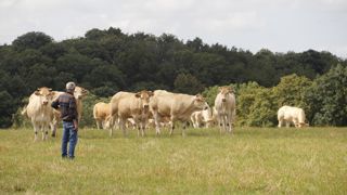 La réforme ne concerne que les exploitants qui prendront leur retraite à compter du 1er janvier 2026.