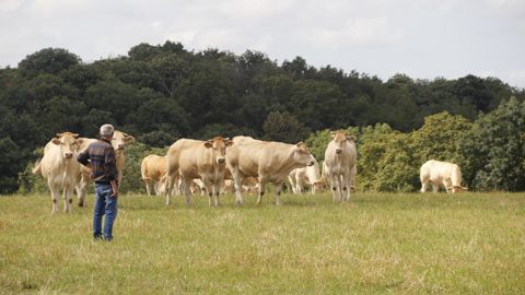 La réforme ne concerne que les exploitants qui prendront leur retraite à compter du 1er janvier 2026.