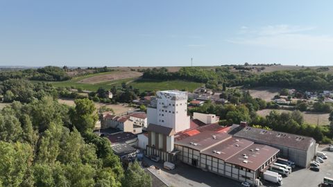 Les synergies se sont multipliées cette année, à l'image du rapprochement des filiales meunerie d'Arterris et de Val de Gascogne.