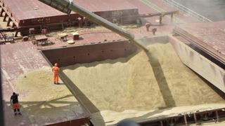 Le prix du blé retrouve un peu de dynamisme en ce début du mois de janvier 2026.