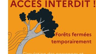 L’Office national des forêts (ONF) recommande de ne pas venir en forêt pendant et les jours suivant une tempête.