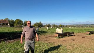 Pierre-Yves Roy fait des injections d'oligoéléments à ses bovins pour renforcer leur système immunitaire durant les périodes vaccinales ou de vêlage.