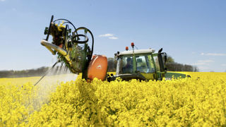 Les produits qui ne sont plus autorisés à floraison, en raison de leur dangerosité pour les abeilles et autres pollinisateurs, comportent la phrase de risque « Spe8 ».