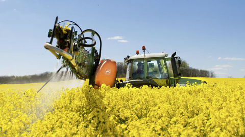 Les produits qui ne sont plus autorisés à floraison, en raison de leur dangerosité pour les abeilles et autres pollinisateurs, comportent la phrase de risque « Spe8 ».