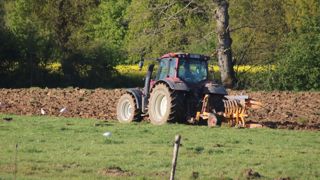 Les prairies sont souvent retournées lors des changements d’exploitation.