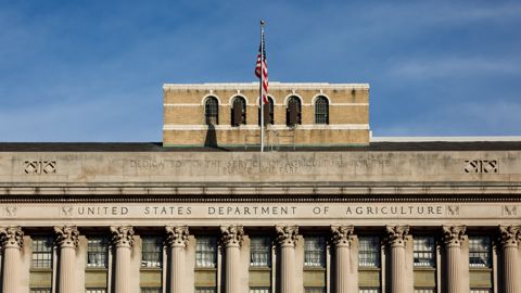 Le ministère américain de l'Agriculture n'a jamais autant fait varier ses anticipations ces vingt dernières années, explique Mike Castle, analyste chez StoneX