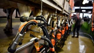 La FNPL dénonce « une baisse brutale du prix du lait qui met en grand danger l’équilibre économique 
des fermes et compromet les installations futures ».