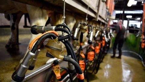 La FNPL dénonce « une baisse brutale du prix du lait qui met en grand danger l’équilibre économique 
des fermes et compromet les installations futures ».