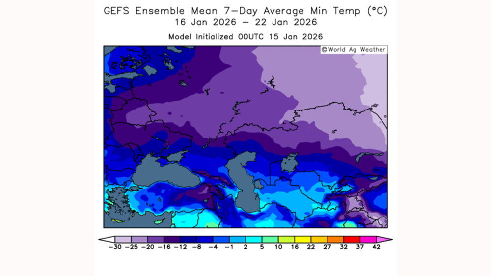 Les couvertures neigeuses risquent d'êtres insuffisantes face à la chute critique des températures.