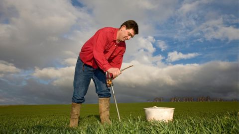 En règle générale, le prélèvement s’effectue sur deux horizons : 0-30 cm et 30-60 cm de profondeur. Si le sol est profond, il peut être recommandé d’explorer l’horizon 60-90 cm.
