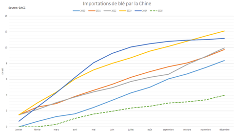 Les importations chinoises de blé ont chuté en 2025.