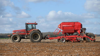 Il est conseillé de semer les pois de printemps à 4-5 cm de profondeur mais pas trop dense, au risque notamment de favoriser les maladies foliaires et la verse en fin de cycle.