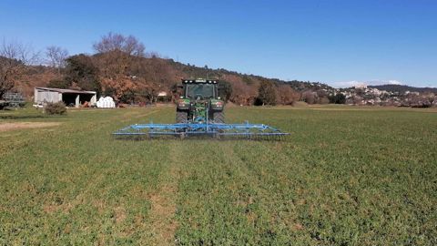 Le hersage comme le broyage précoce ont permis de réduire le nombre de larves de phytonome de 40 à 70 %.