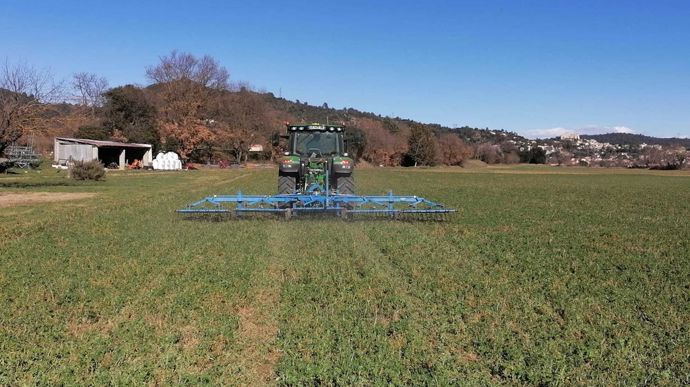 Des leviers à l’essai pour faire reculer le phytonome de la luzerne