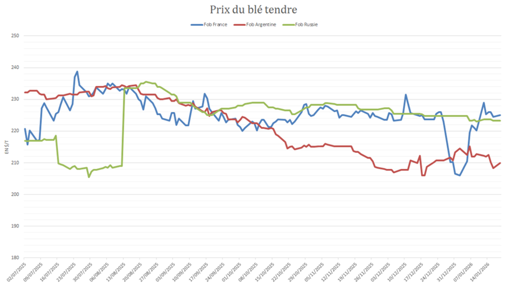 Le blé argentin impose sa compétitivité à l'international.