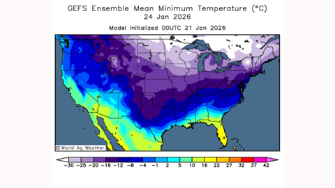 Le blé d'hiver américain va affronter des températures critiques.