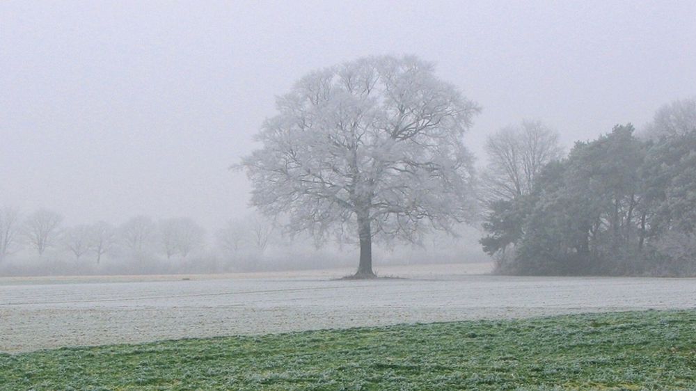 Paysage rural partiellement enneigé.
