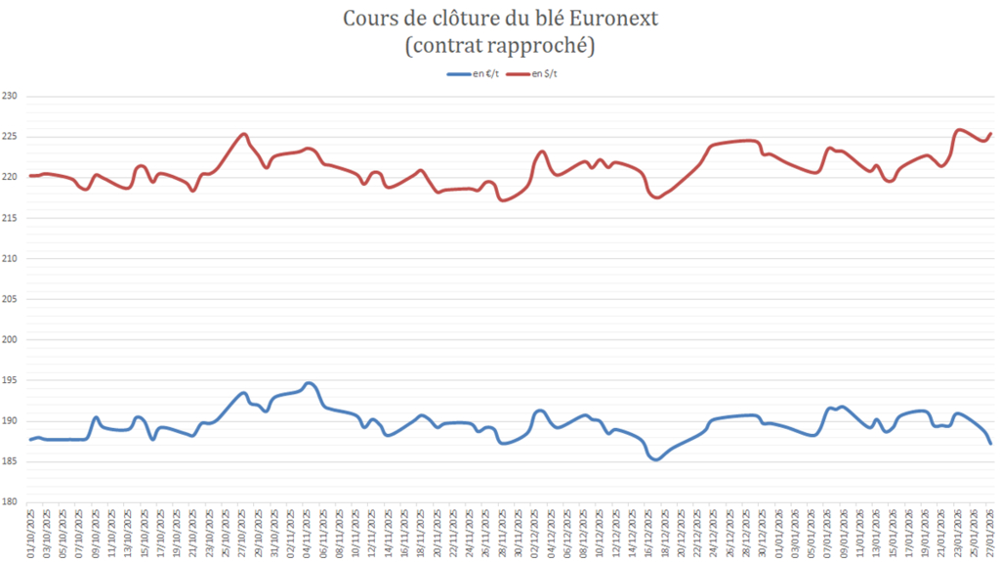 Les prix du blé Euronext subissent la montée de l'eurodollar.