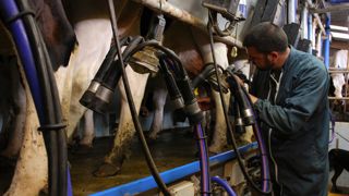 En 2025, la collecte laitière a dépassé les 23 milliards de litres de lait.