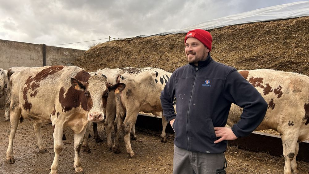 Matthieu Carpentier éleveur laitier