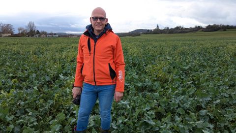 En implantant le colza avec des cultures compagnes (fenugrec, trèfle violet et lotier), Thierry Voirin a pu réduire les apports d’azote au printemps de 200 u/ha à 130 u/ha.