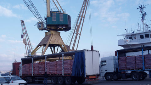 3,8 millions de tonnes de pommes de terre ont été exportées durant la campagne 2024-2025.