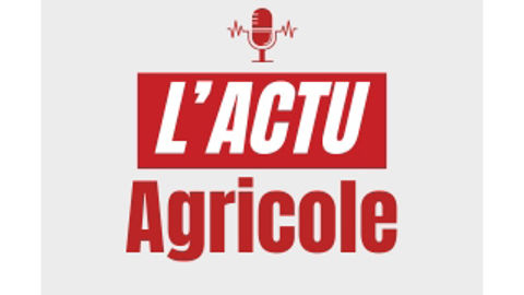 Le podcast du 3 février 2026