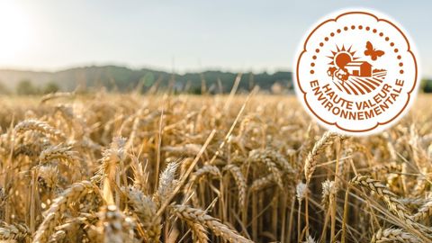 Au 1er juin 2025, le ministère de l’agriculture fait état de 39 738 exploitations agricoles certifiées, dont 6,9 % en grandes cultures.