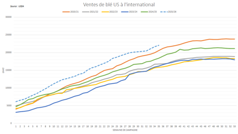 Les États-Unis enregistrent encore des ventes dynamiques à l'international.