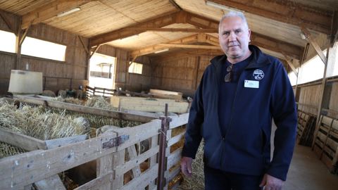 "Notre nouvelle organisation est plus gourmande en temps de travail, indique Jérôme Pellegrin. En augmentant le nombre de râteliers, nous devrions le réduire."