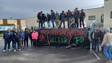 La FDSEA de la Manche a manifesté vendredi 6 février devant l'usine Lactalis d'Isigny-le-Buat pour dénoncer la baisse du prix du lait.