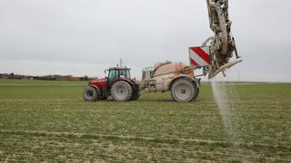 Sur céréales, la quantité de soufre à apporter est à évaluer en fonction de la pluviométrie de l'automne-hiver.