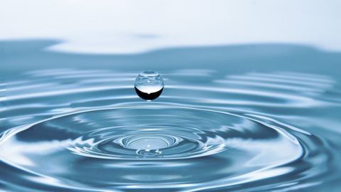 Au 1er février, 40 % des points d'observation sont sous les normales mensuelles, 24 % sont comparables et 36 % sont au-dessus