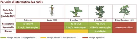 Périodes d'intervention des outils - féverole