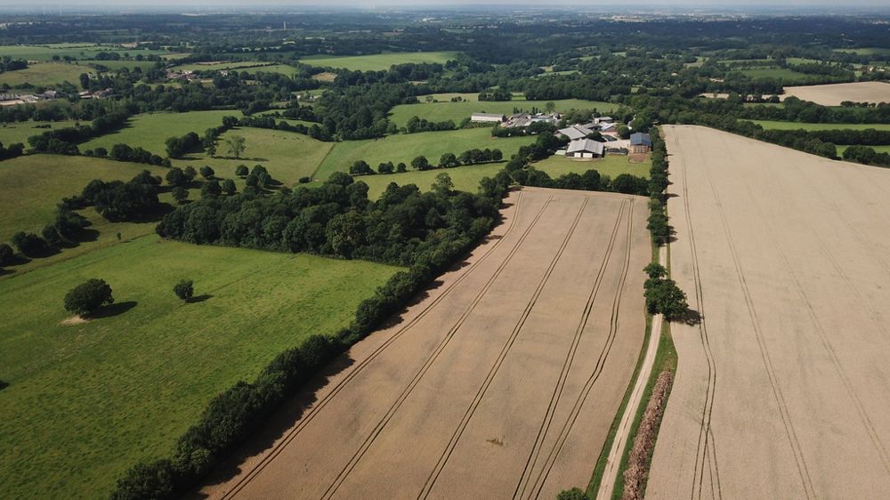 Les héritiers d'un bailleur héritent de ces biens mais aussi des droits et actions qu'il aurait menés.