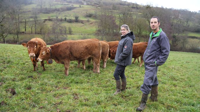 « Nos génisses ne sont jamais sorties de la pâture, même si la barrière est grande ouverte », se réjouissent Aurore et Jean-Pierre Alaux.