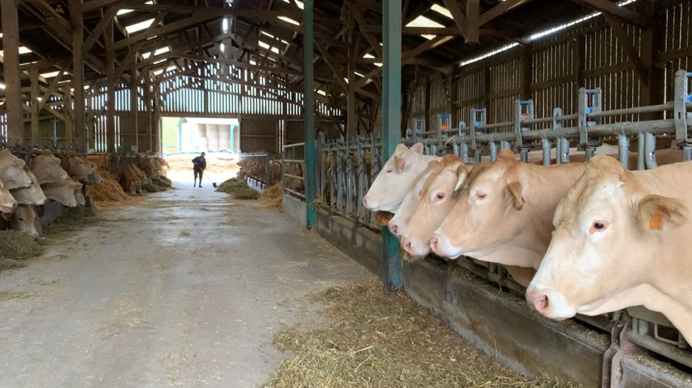 Comme annoncé, Annie Genevard lève, ce vendredi 20 février, la quasi-totalité des zones réglementées en France.
