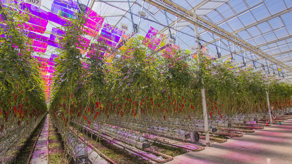 La solution Voltirion de l’entreprise suisse Voltiris a remporté le Prix de l’Innovation Sival d’argent dans la catégorie « Équipements et fournitures pour la production »