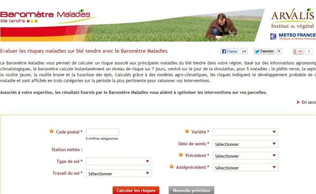 Baromètre maladies du blé tendre Arvalis Institut du Végétal