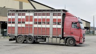 « L’intégralité des communes du département [des Pyrénées-Orientales] passe en zone vaccinale de type II », a annoncé le préfet.