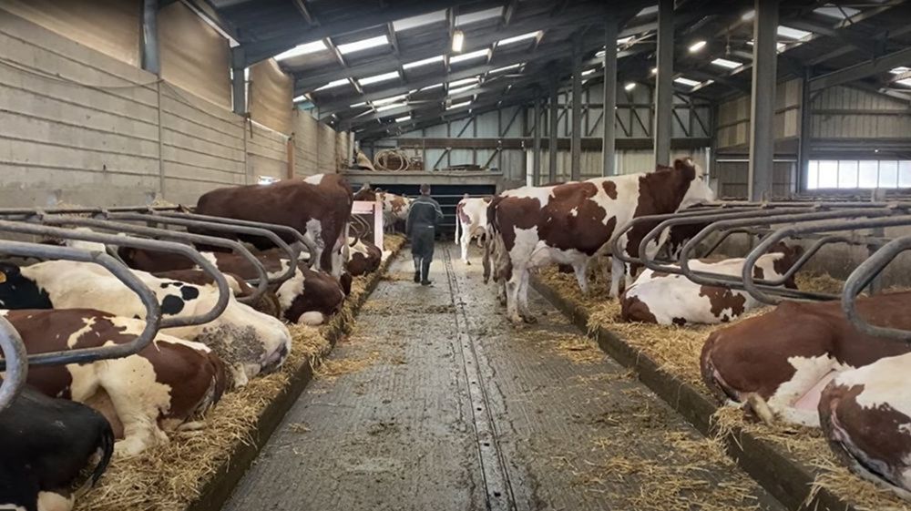 Appeler à la rescousse en cas de coup dur est de moins en moins tabou.