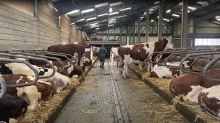 Appeler à la rescousse en cas de coup dur est de moins en moins tabou.