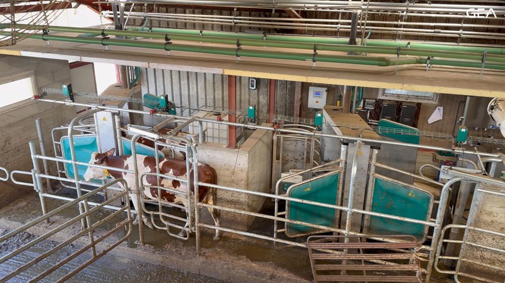 Stalles de robots GEA